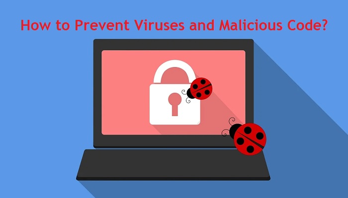 How Can You Prevent Viruses and Malicious Code?